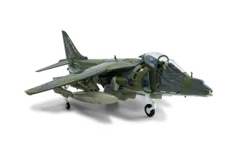 BAE Harrier GR9A ZG506/P77 Ninja 1 RAF Cottesmore Wing (2010)