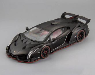 LAMBORGHINI Veneno, matt black