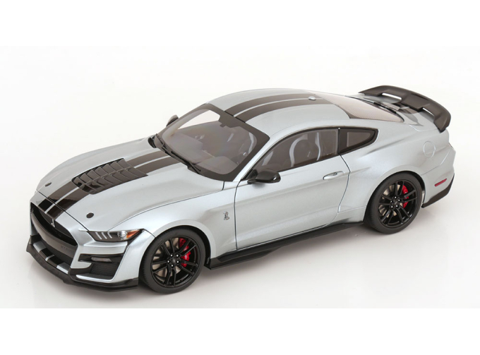 FORD Mustang Shelby GT 500, silver black