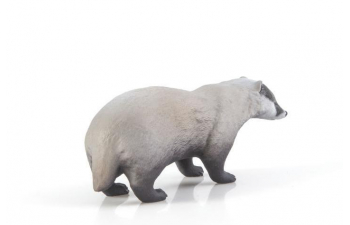 Дикие животные России № 22: Барсук (только вложение)