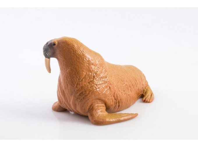 Дикие животные России № 21: Морж (только вложение)