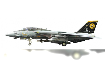 Grumman F-14D Tomcat Diecast Model USN VF-31 Tomcatters AJ100 USS Theodore Roosevelt Last F-14 Cruise 2006 (Wings of Heroes)