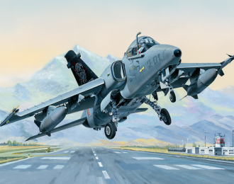 Сборная модель Самолет AMX Ground Attack Aircraft