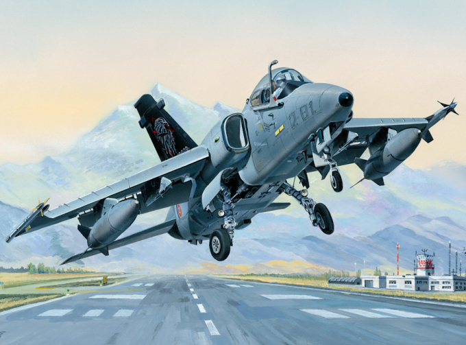 Сборная модель Самолет AMX Ground Attack Aircraft