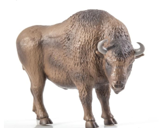 Дикие животные России № 41: Зубр (только вложение)