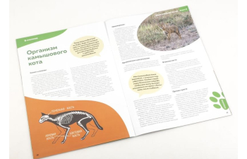 Дикие животные России № 38: Камышовый кот