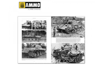 ITALIENFELDZUG – CARROS DE COMBATE Y VEHÍCULOS ALEMANES 1943-1945 Vol. 2 CASTELLANO