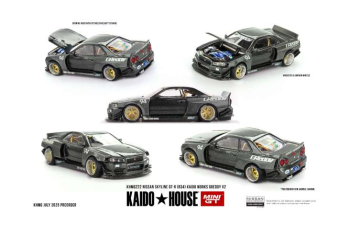NISSAN Skyline GT-R (R34) Kaido Works Greddy V2 (1999), grey