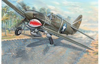 Сборная модель P-40F War Hawk