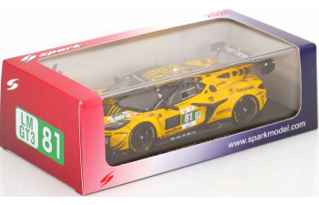 CHEVROLET Corvette Z06 LMGT3.R No 81 24 Le Mans, van Rompuy/Andrade/Eastwood (2025)
