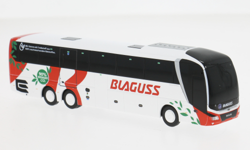 MAN Lions Coach L, 2017, Blaguss (A)