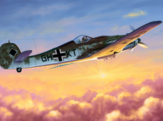 Сборная модель Focke-Wulf Fw 190D-10