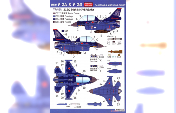 Сборная модель JASDF F-2A and F-2B