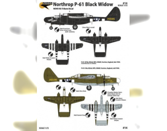 Декаль Nothrop P-61 Black Widow. USAF, 2 Markings