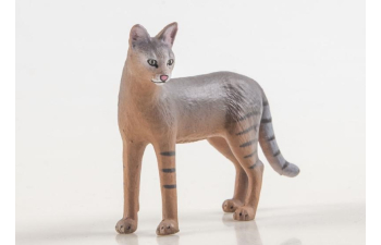 Дикие животные России № 38: Камышовый кот