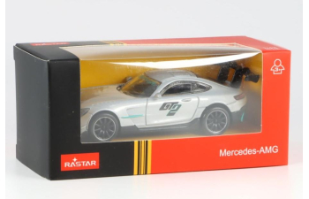 MERCEDES-BENZ AMG GT2, grey