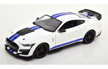 FORD Mustang Shelby GT500 2020 White / Blue