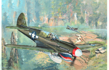 Сборная модель P-40N War Hawk