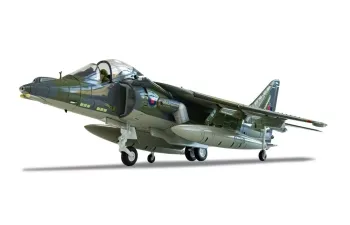 BAE Harrier GR9A ZG506/P77 Ninja 1 RAF Cottesmore Wing (2010)