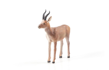 Дикие животные России № 17: Джейран