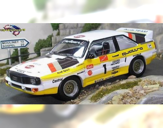 AUDI Sport Quattro S1 MOUTON Michele - PONS Fabrizia Rally Pikes Peak (1985), white