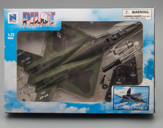 Сборная модель YF-23 Black Widow Pilot Model Kit