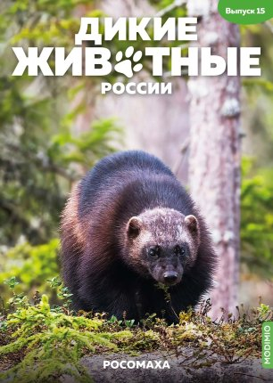 Дикие животные России № 15: Росомаха