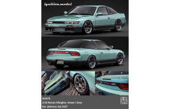 NISSAN Sileighty, green/grey
