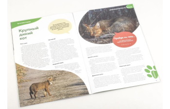 Дикие животные России № 38: Камышовый кот