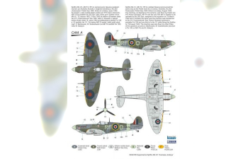 Сборная модель Supermarine Spitfire Mk.VC 'Overseas Jockeys'