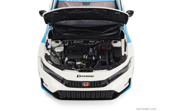 HONDA CIVIC TYPE-R (FL5) N 100 RACING 2020