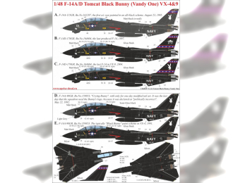 Декаль для F-14A/D Tomcat Black Bunny FFA (удаляемая лаковая подложка)