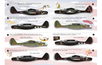 P-61 Black Widow Wet decal