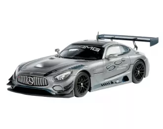 MERCEDES-BENZ AMG GT3 (C190) (2016), matt grey