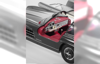 MERCEDES-BENZ 300 SL Coupe W198 I (1954-1957), grey