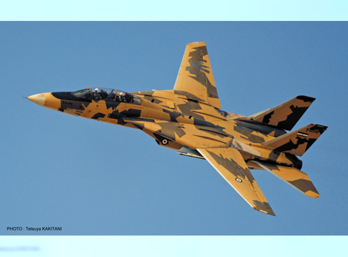 Сборная модель Истребитель F-14A Иранские ВС