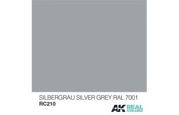 Silbergrau -Silver Grey Ral 7001 10ml