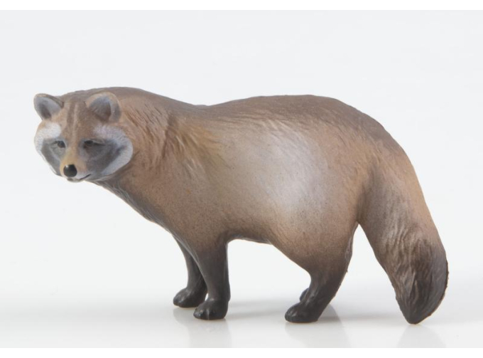 Дикие животные России № 26: Енотовидная собака (только вложение)