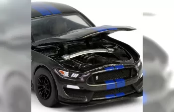 FORD Shelby GT350 (2017), Magnetic with Blue Stripes