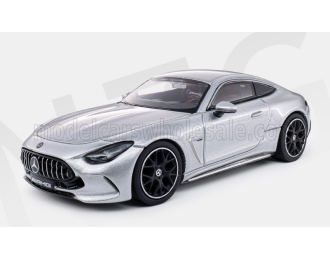 MERCEDES-BENZ AMG GT63 V8 Biturbo (C192) (2025), silver