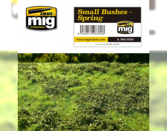 SMALL BUSHES – SPRING