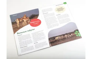 Дикие животные России № 25: Кулан