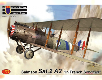Сборная модель Salmson Sal.2A2 "In French Services"