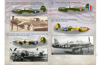 P-39 Airacobra Wet decal