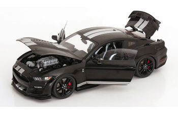 FORD Mustang Shelby GT500 (2022), Black / Silver