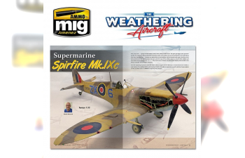 THE WEATHERING AIRCRAFT #9 – Águilas del Desierto CASTELLANO