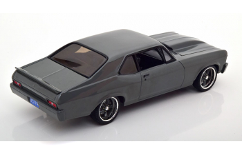 CHEVROLET Nova Destroyer (1970), darkgrey