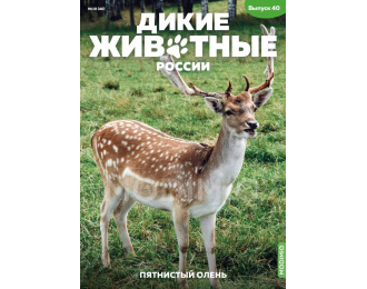 Дикие животные России № 40: Пятнистый олень
