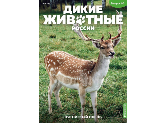 Дикие животные России № 40: Пятнистый олень