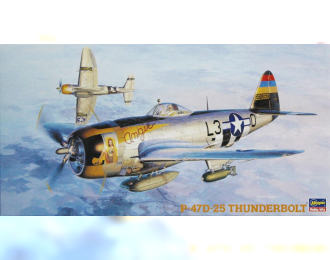 Сборная модель P-47D Thunderbolt